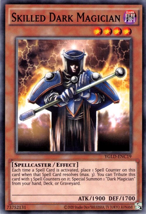 Magicien Sombre Expérimenté