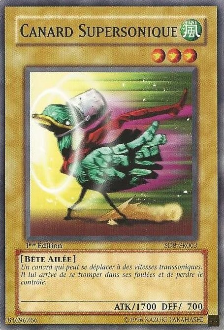Canard Supersonique