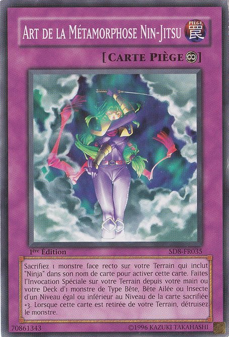 Art de la Métamorphose Nin-Jitsu