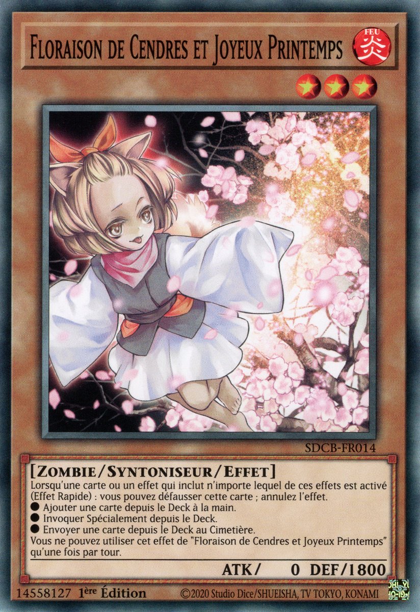 Ash Blossom & Joyous Spring