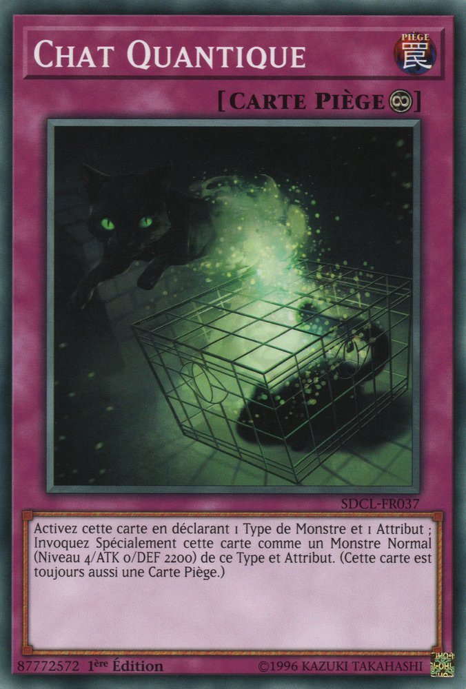 Chat Quantique
