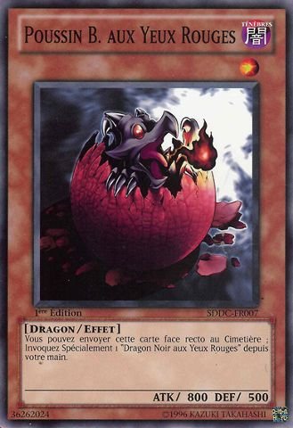 Poussin Dragon Noir