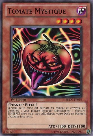Tomate Mystique