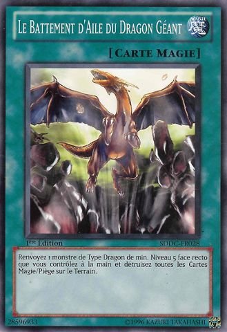 le Battement d'Aile du Dragon Géant