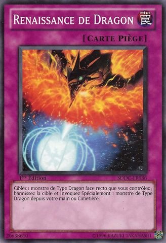 Transmigration de Dragon
