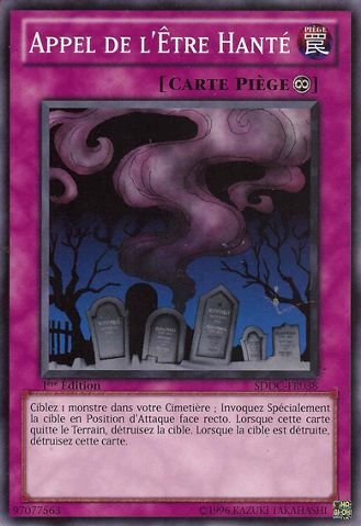 Appel de l'Être Hanté