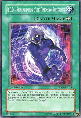 R.D.D. - Réincarnation d'une Dimension Différente
