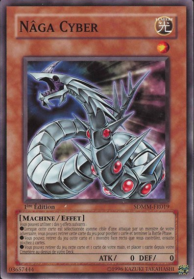 Naga Cyber