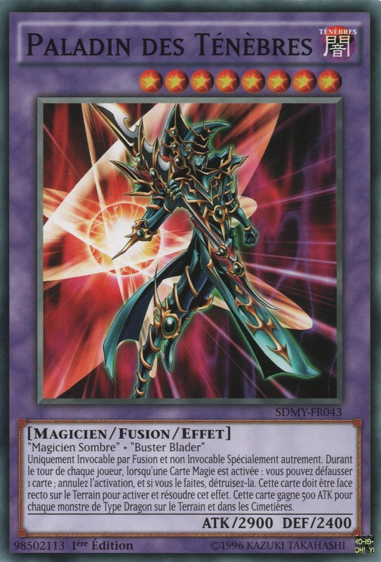 Dark Paladin