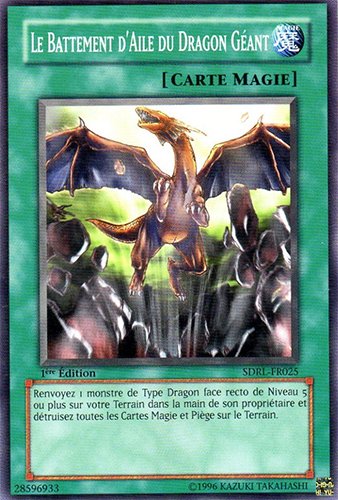 le Battement d'Aile du Dragon Géant