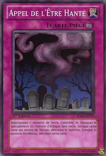Appel de l'Être Hanté