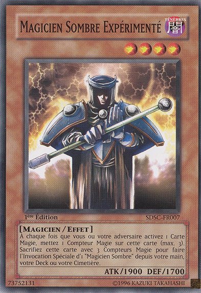 Magicien Sombre Expérimenté