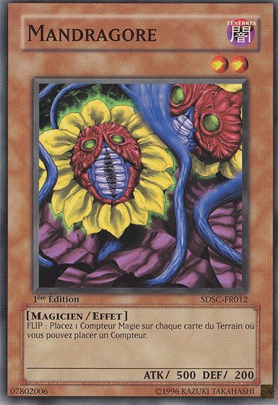 Mandragore