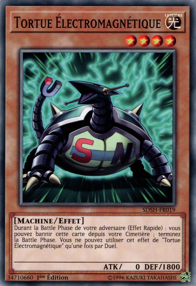 Electromagnetic Turtle