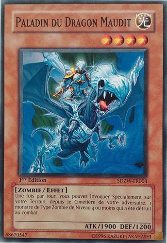 Paladin du Dragon Maudit