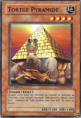 Tortue Pyramide