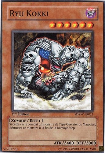 Ryu Kokki