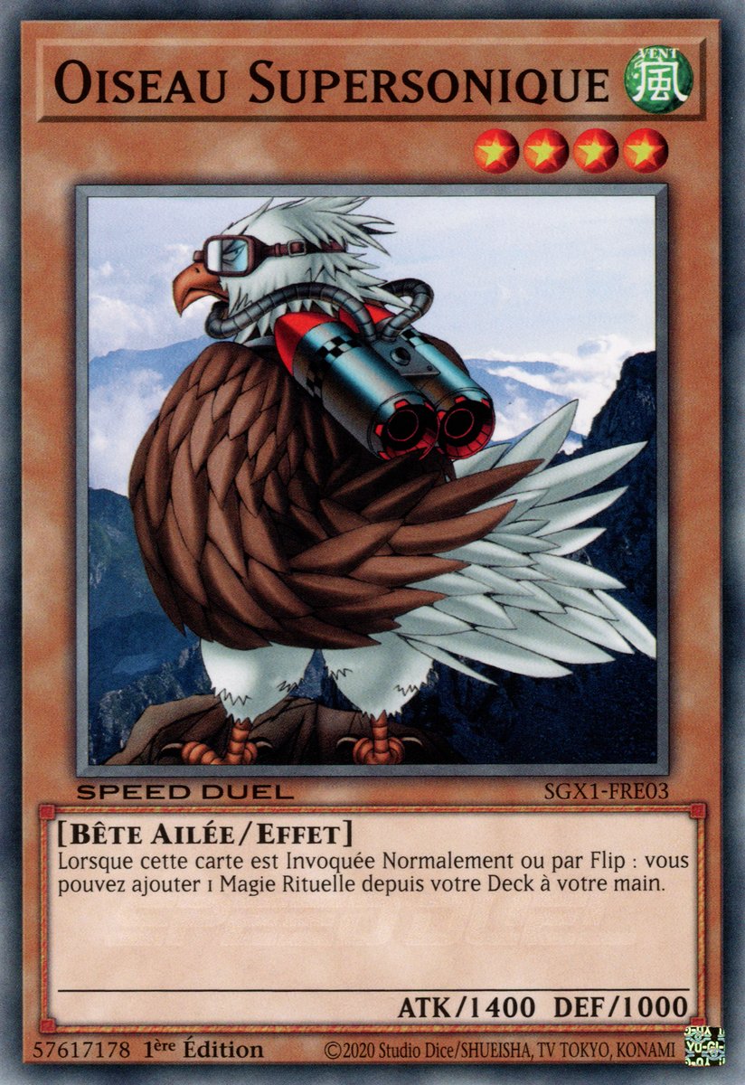 Oiseau Supersonique