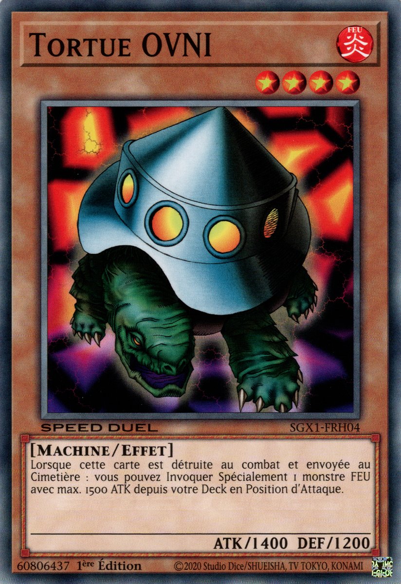 Tortue OVNI