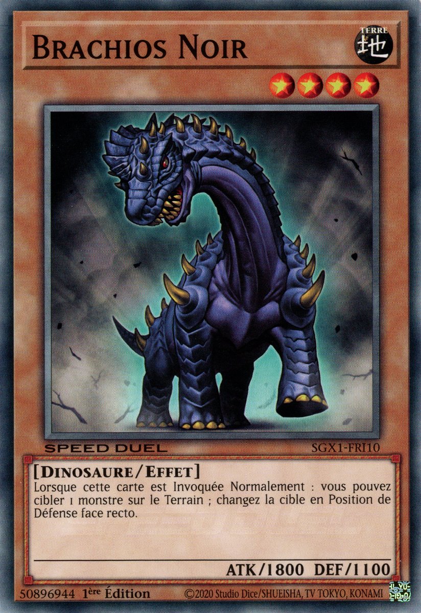 Brachios Noir