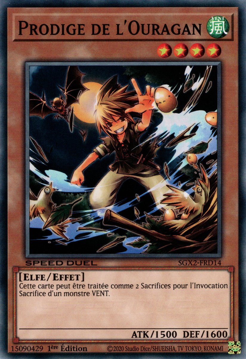 Whirlwind Prodigy