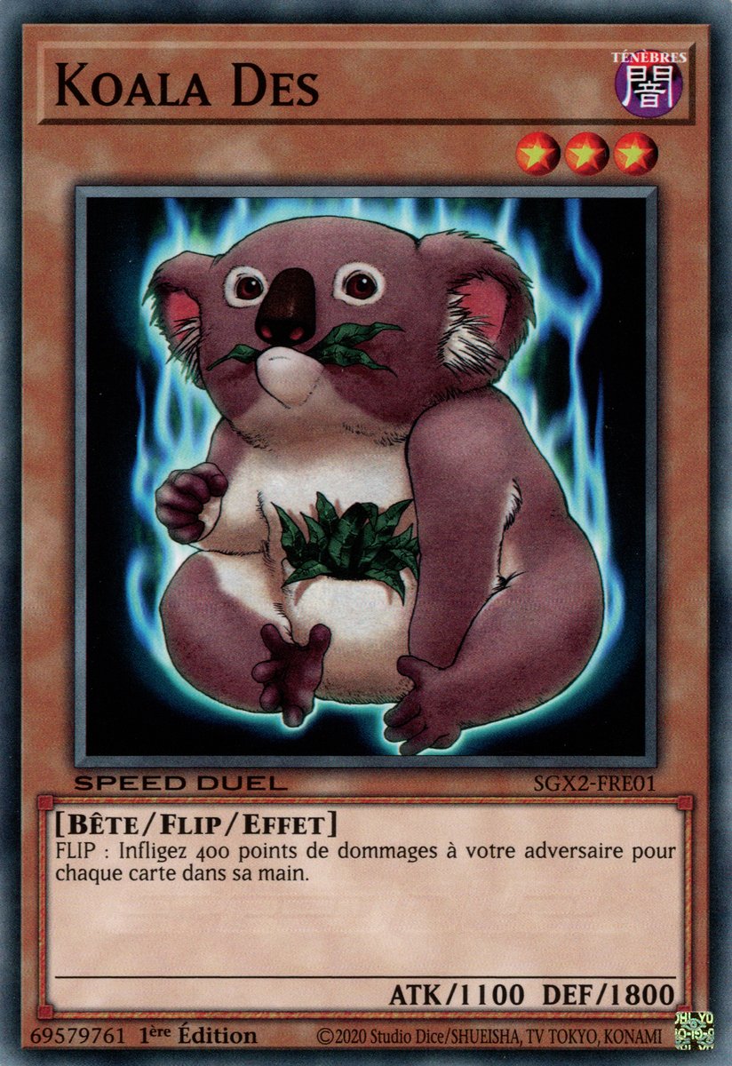 Des Koala