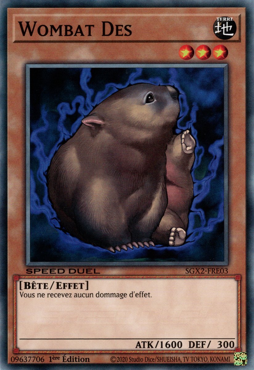 Des Wombat