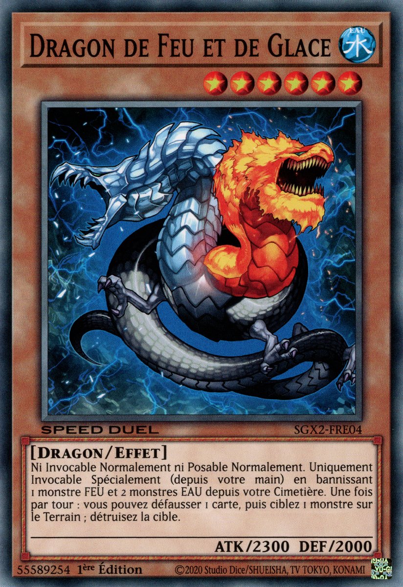 Frost and Flame Dragon