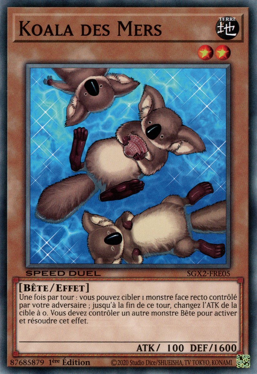 Sea Koala