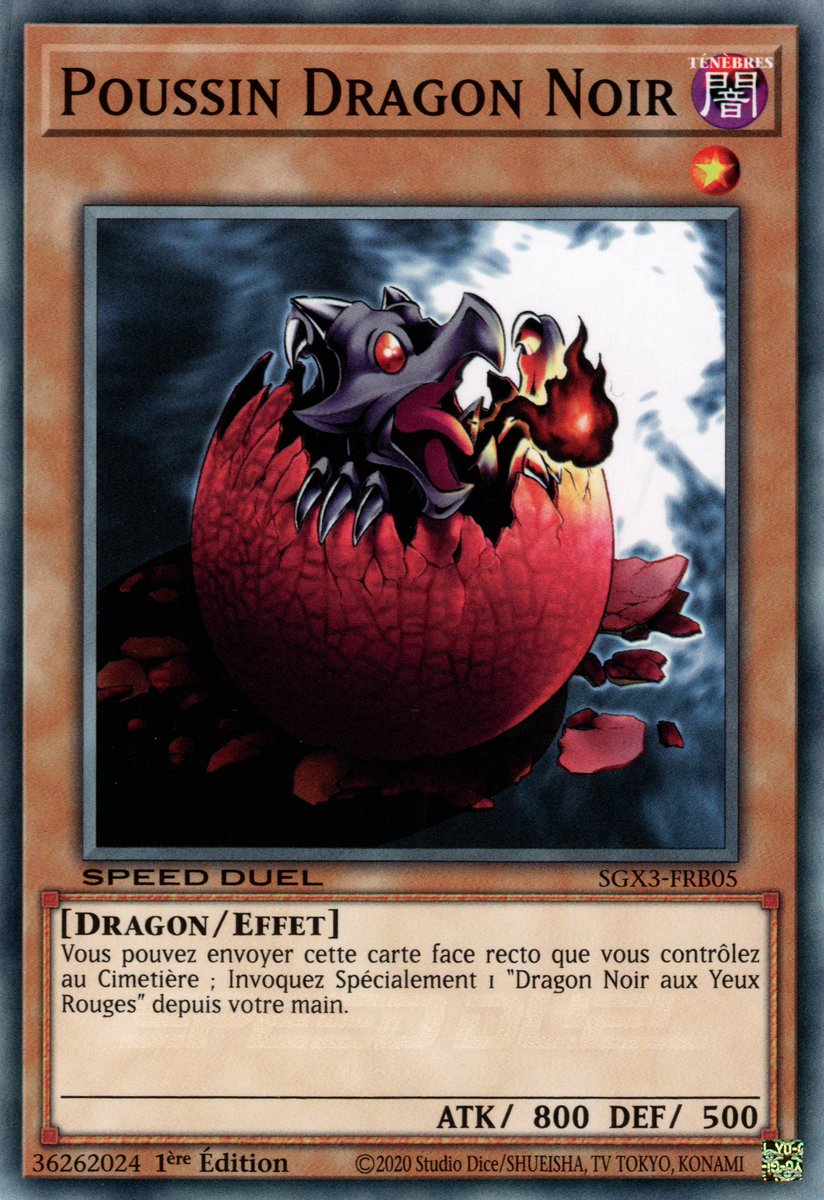 Poussin Dragon Noir