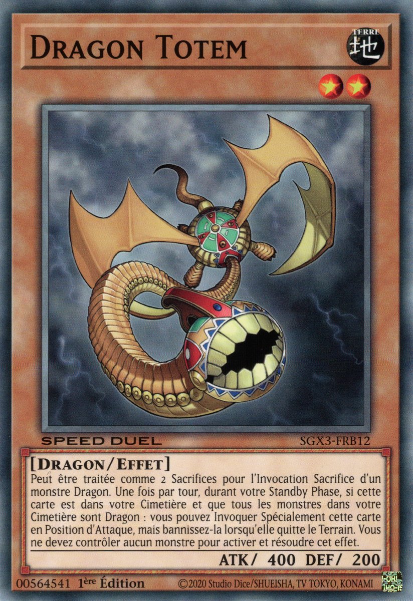 Dragon Totem