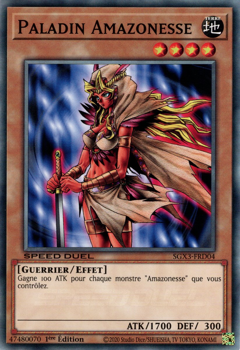 Paladin Amazonesse
