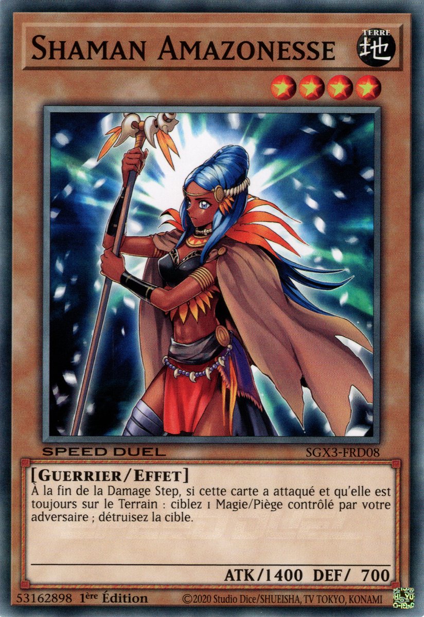Shaman Amazonesse