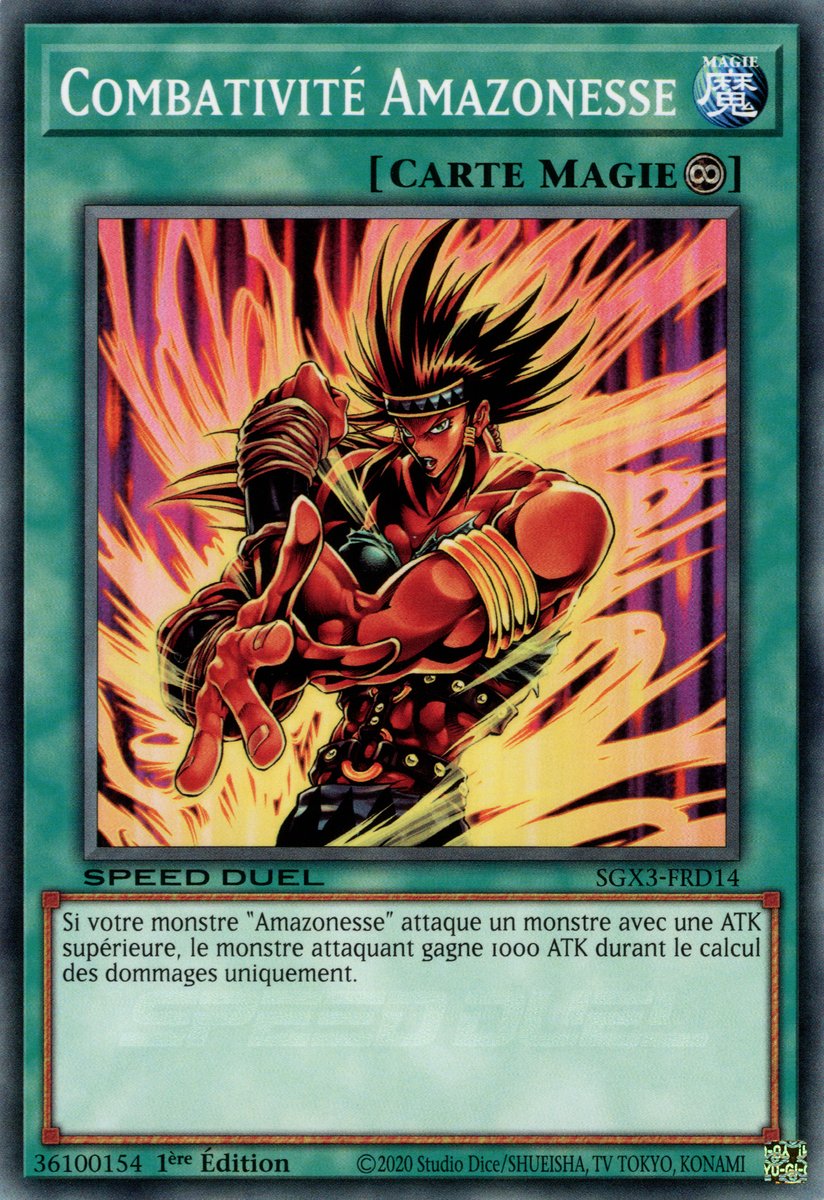 Combativité Amazonesse