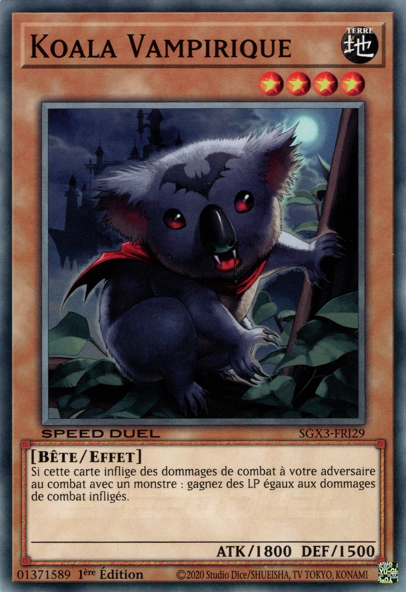 Koala Vampire ( Koala Vampirique )