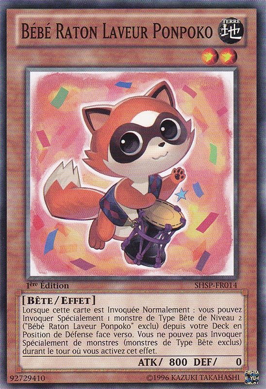 Bébé Raton Laveur Ponpoko