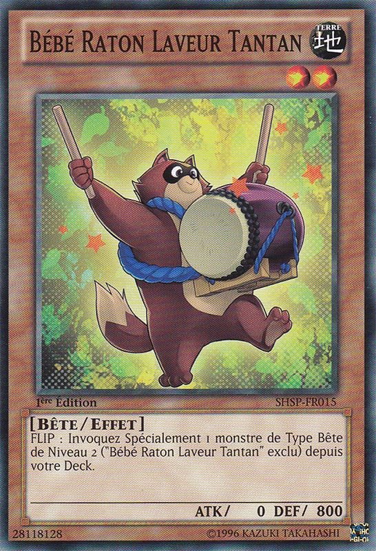 Bébé Raton Laveur Tantan