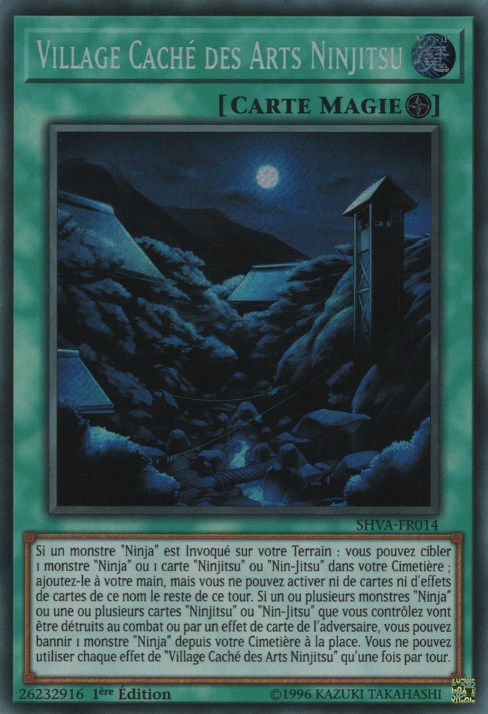 Hidden Village of Ninjitsu Arts