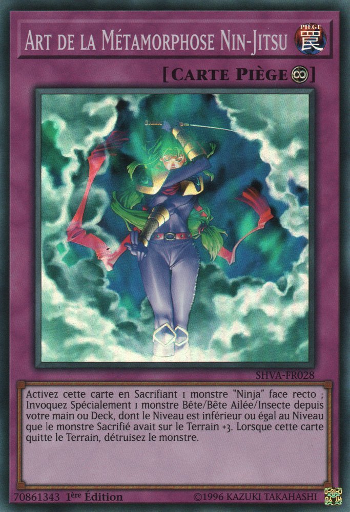 Ninjitsu Art of Transformation