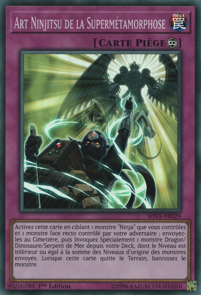 Ninjitsu Art of Super-Transformation