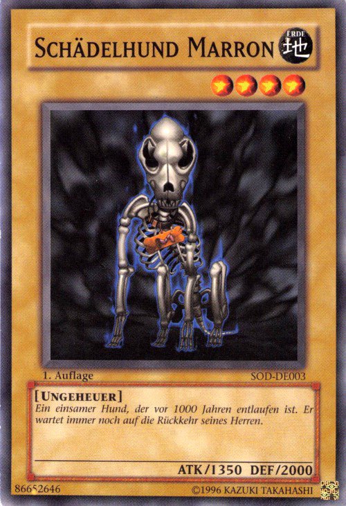 Skull Dog Marron