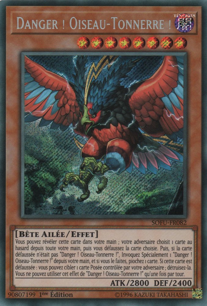 Danger ! Oiseau-Tonnerre !
