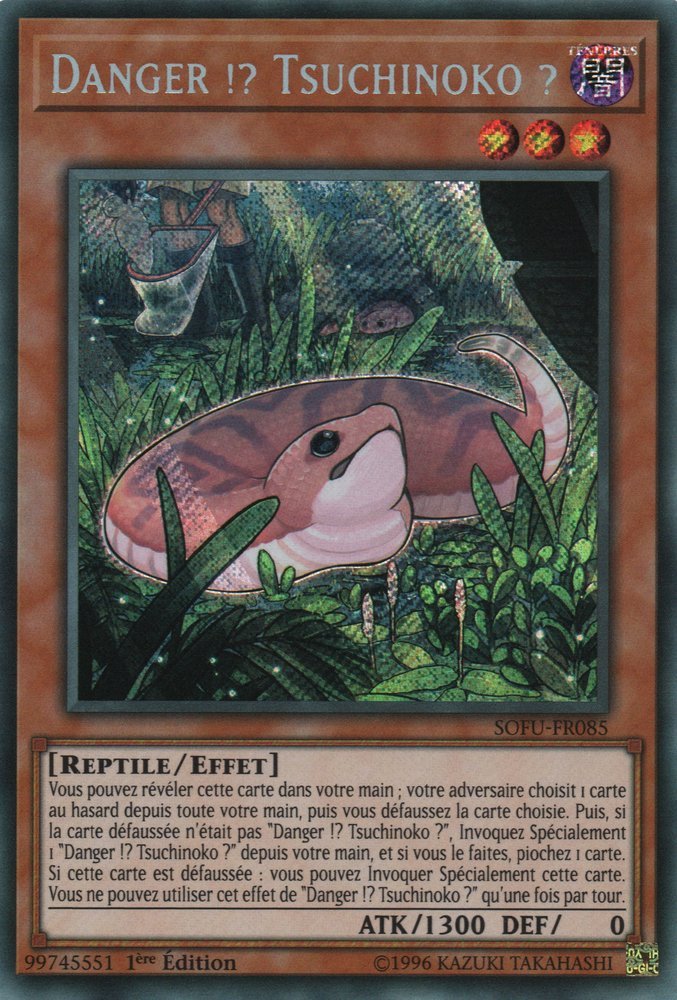 Danger !? Tsuchinoko ?