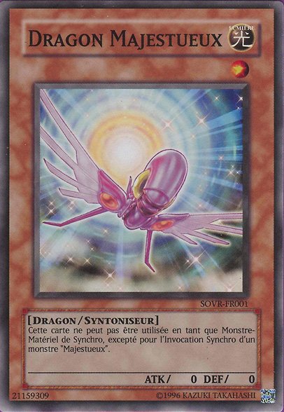 Dragon Majestueux