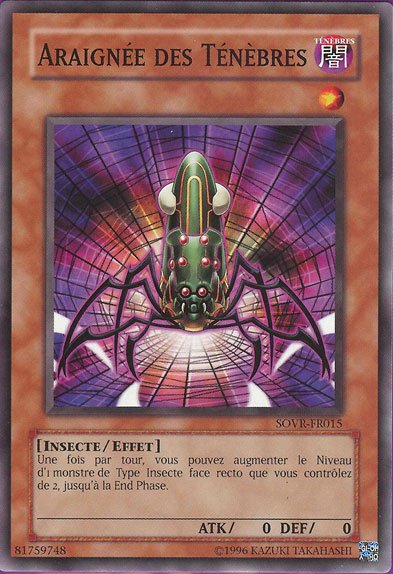 Araignée des Ténèbres