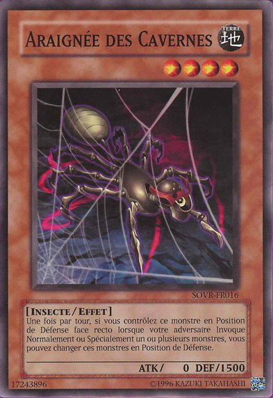 Araignée des Cavernes
