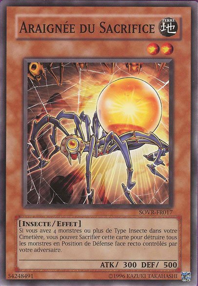 Araignée du Sacrifice