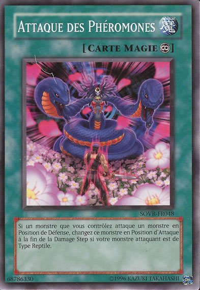 Attaque des Phéromones