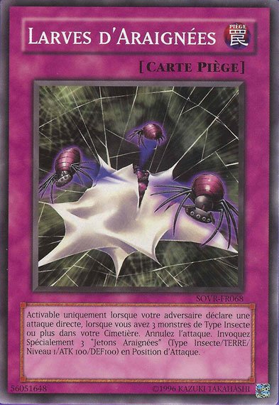 Larves d'Araignées