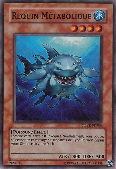 Requin Métabolique